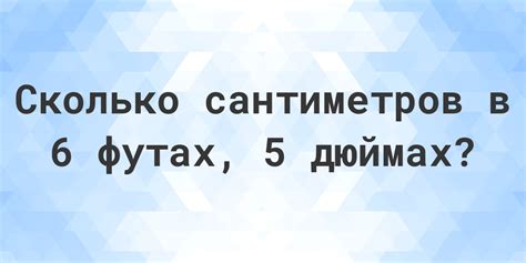 6 5 футов в см|5 футов 6 дюймов в сантиметрах